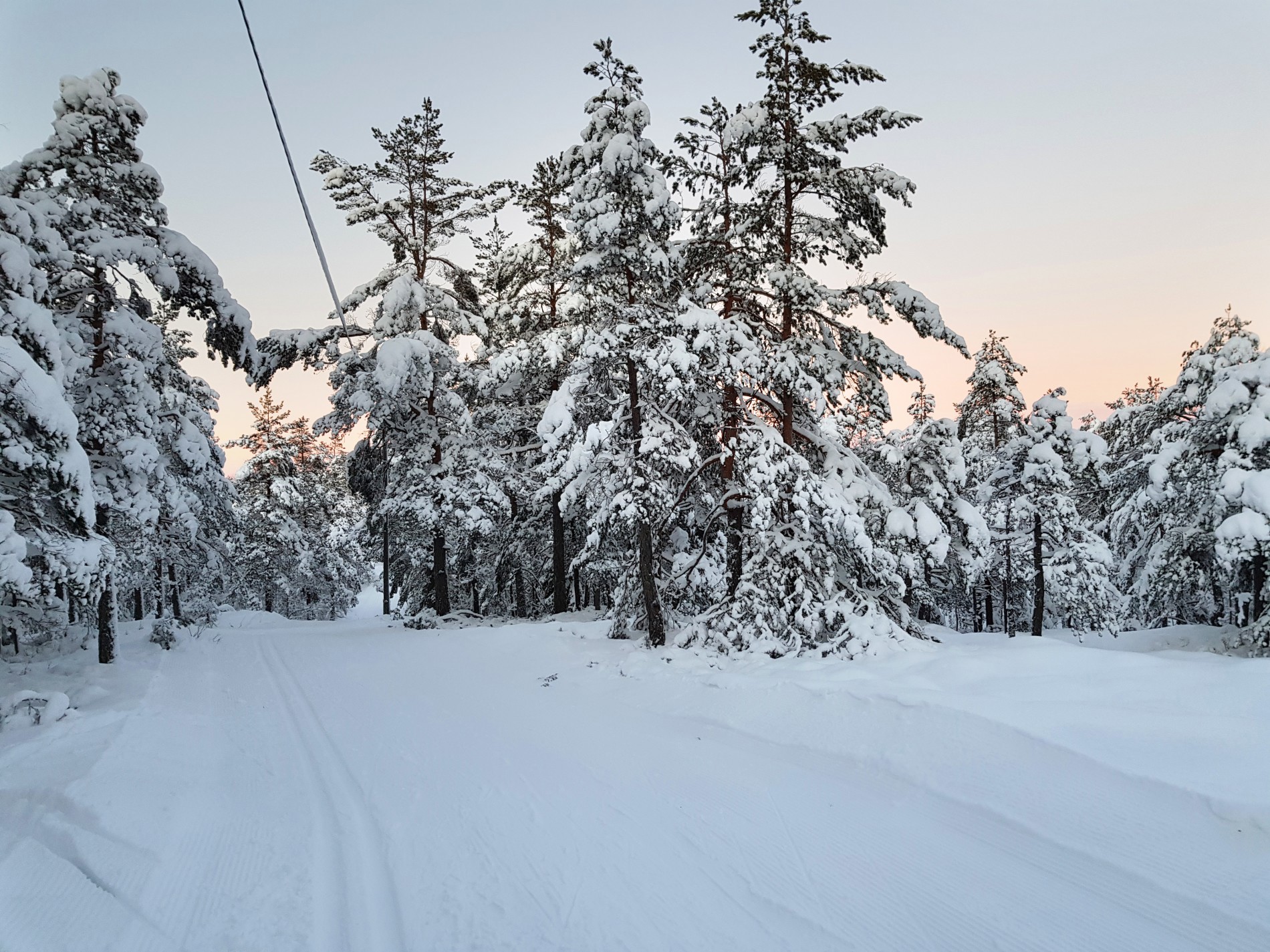 Aftenstemning i lysløypa ved Klokkarstua
