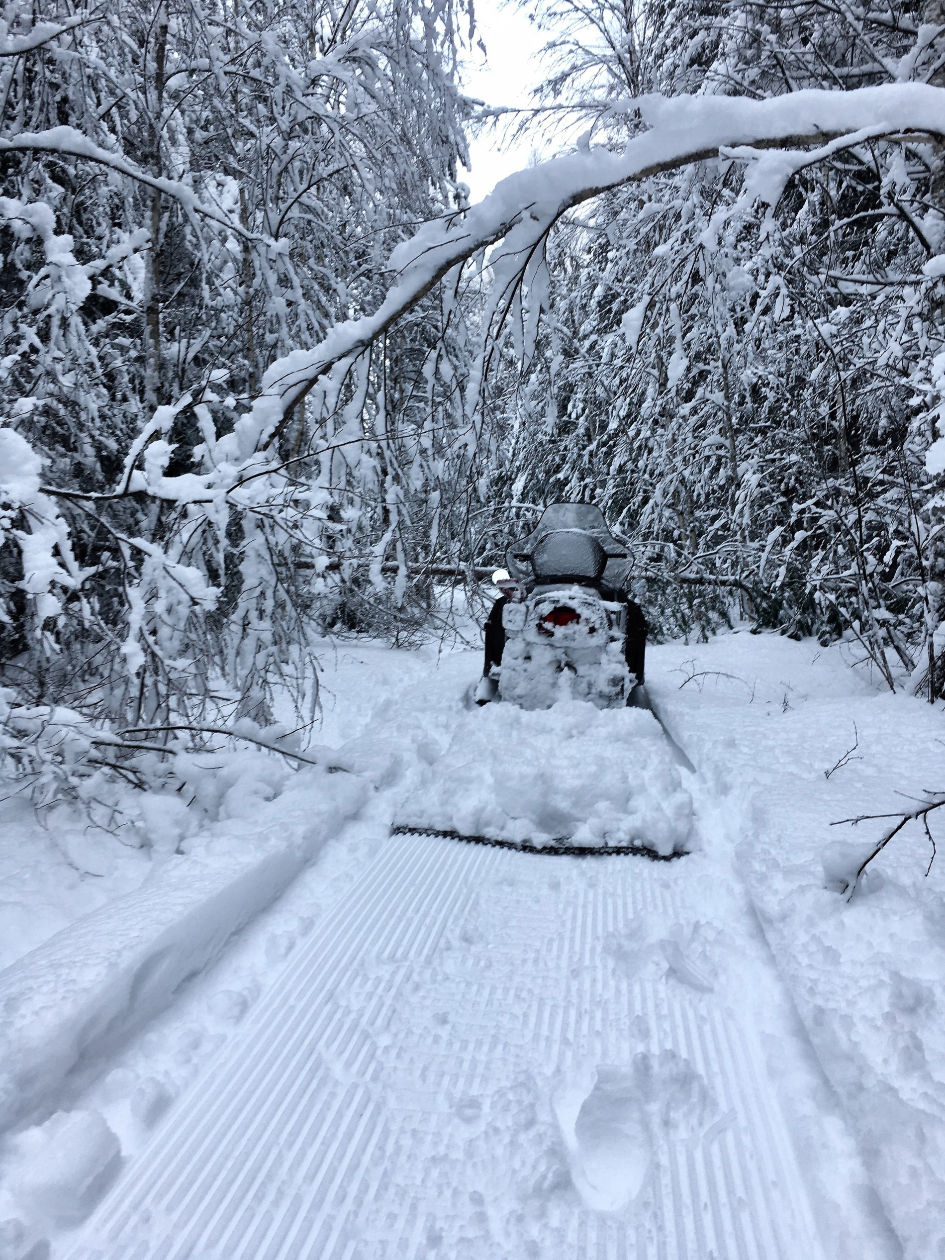Ålerudåsen - rydding må til!