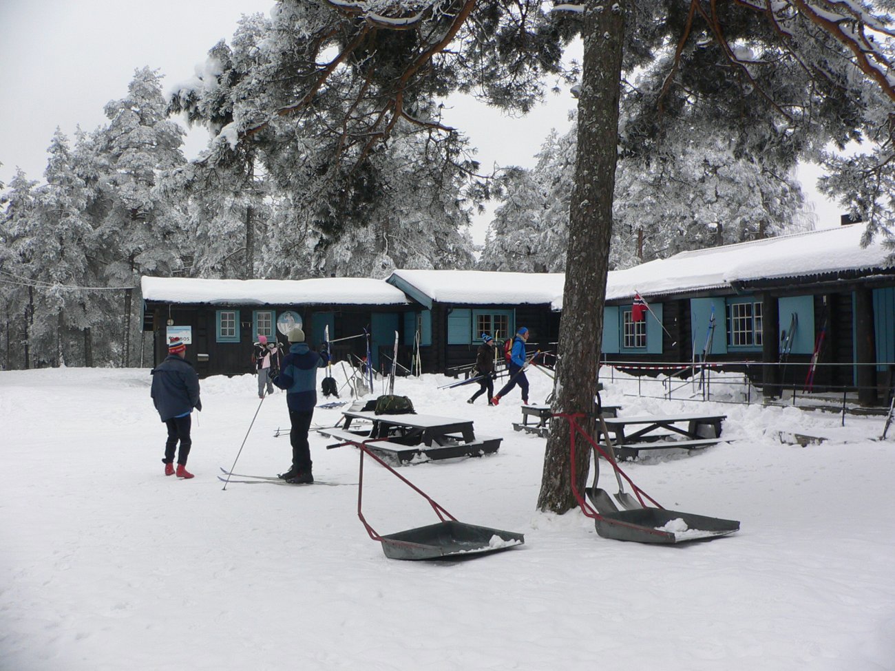 Alltid aktivitet på Liastua