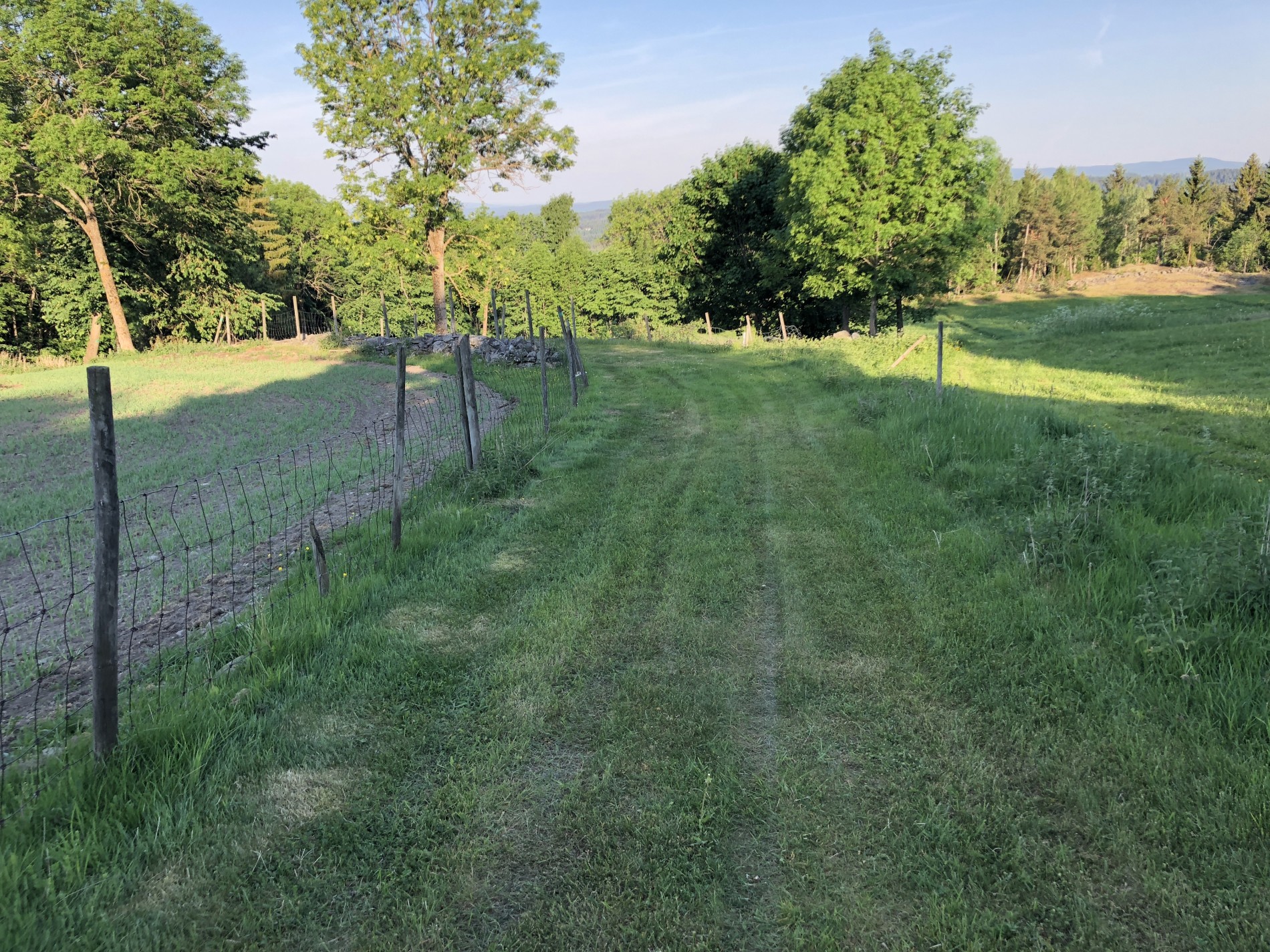 Alternativ vei til Åsa