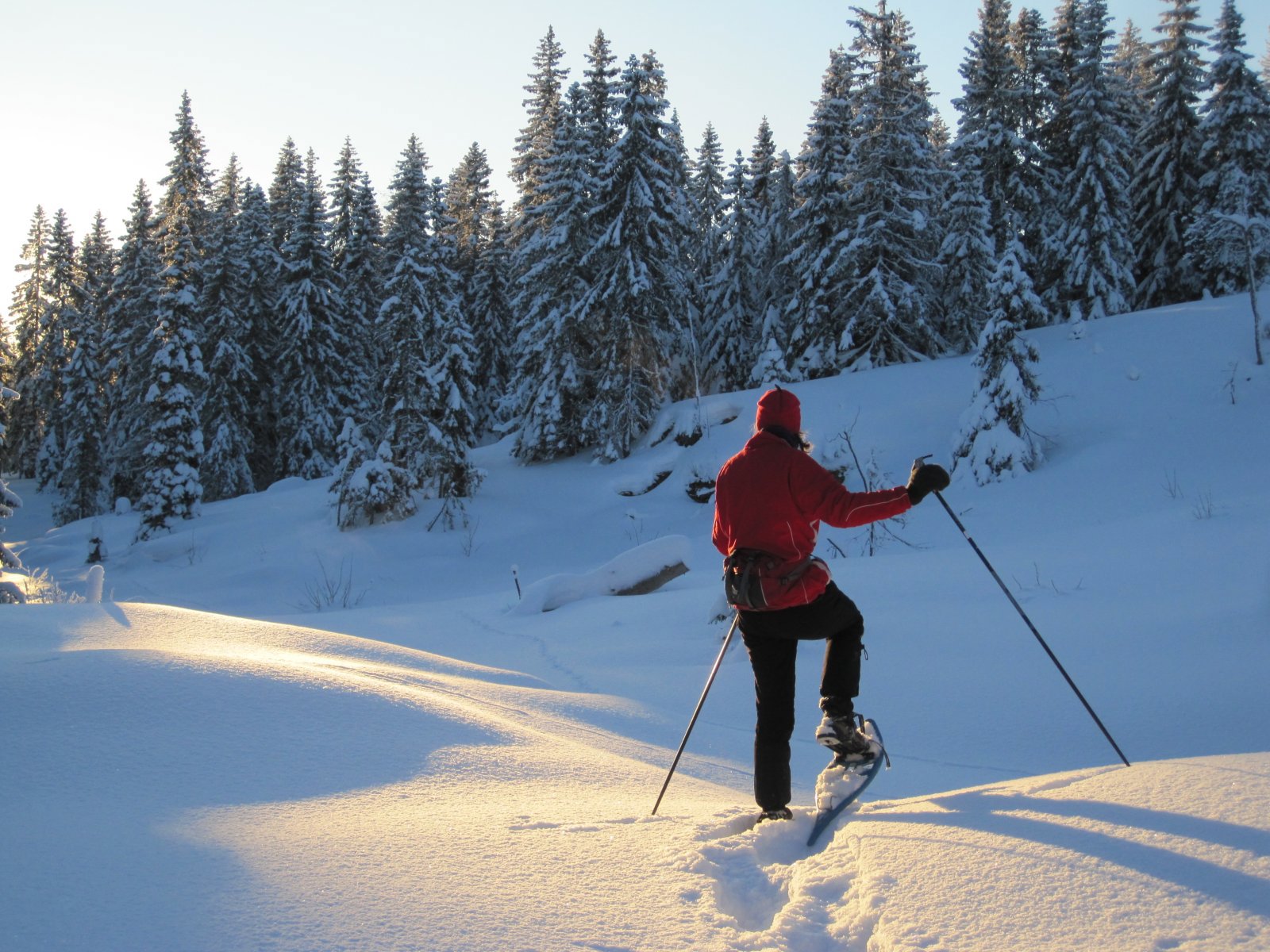 Alternativt fremkomstmiddel