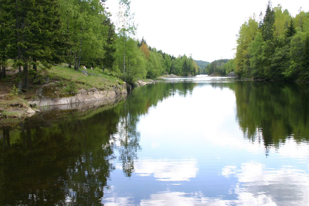 Åmotdammen - et speil