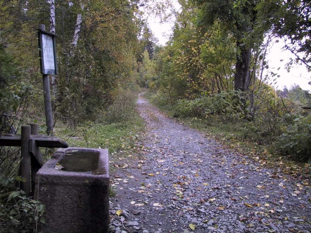 Ankerveien - en vernet vei