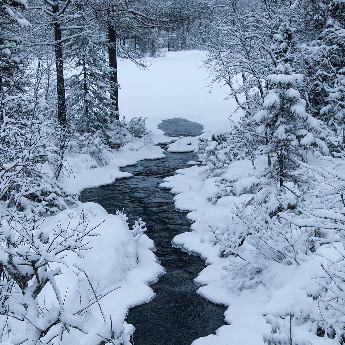 Åpen bekk ved Bjørtjenn
