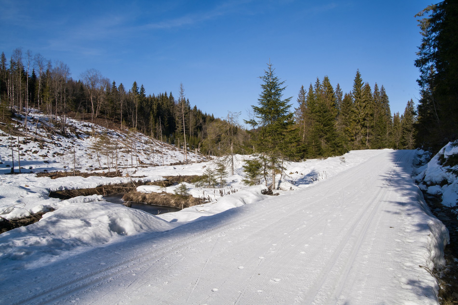 Åpent landskap langs løypa fra Skoglund