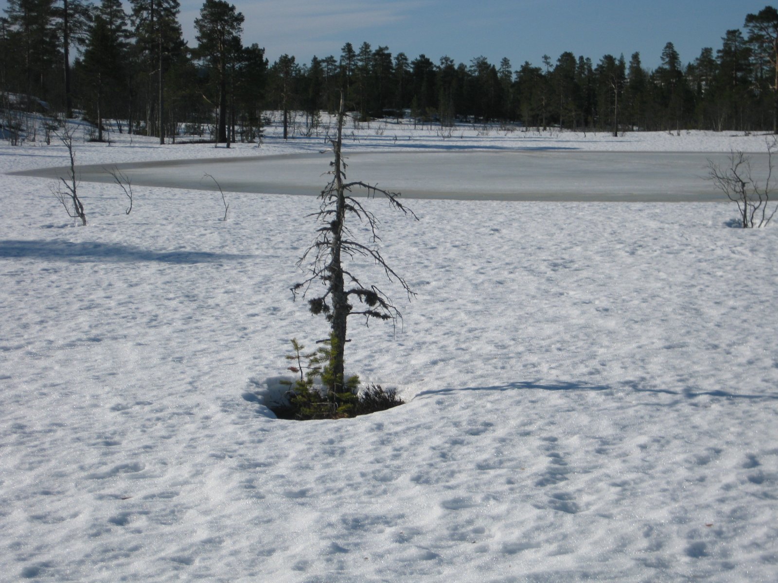 Åpent landskap på Bleiksjøflaka