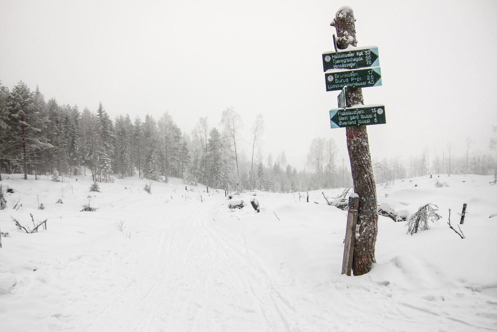 Åpent landskap ved Skriverberget