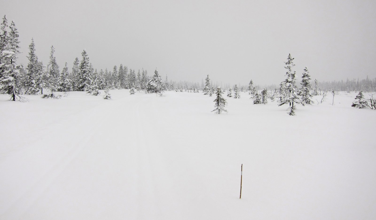 Åpne områder mellom Brattengsetra og Lundsetra