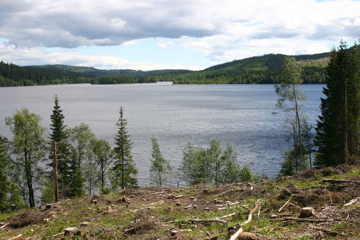 Åpning mot Sandungen