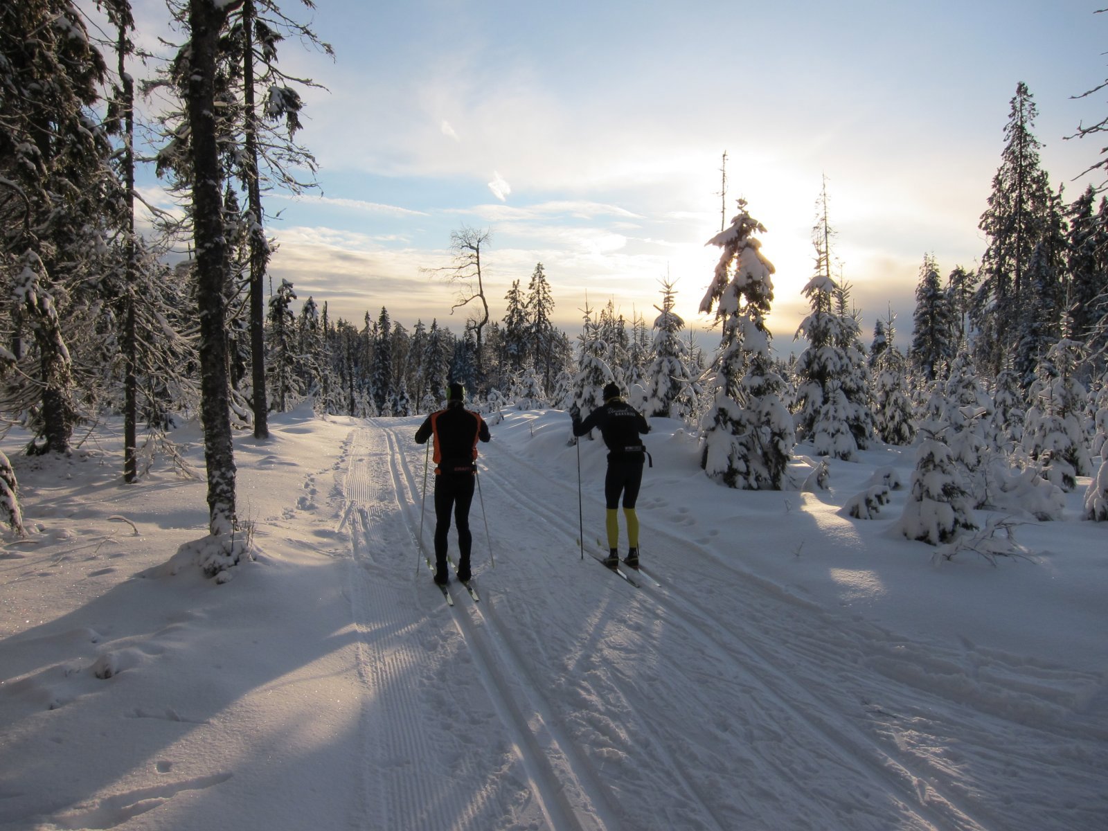 Appelsinhaugen passeres