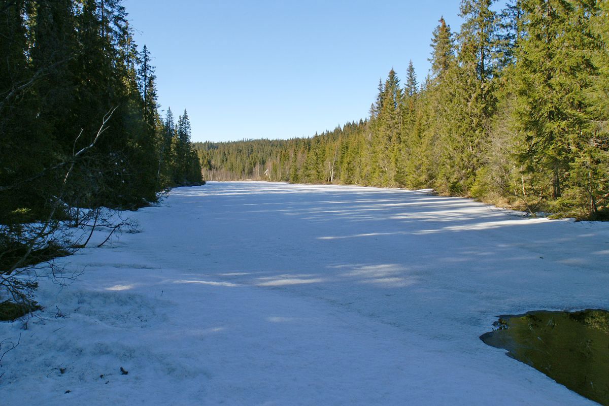 Aprildag ved Kapiteltjern