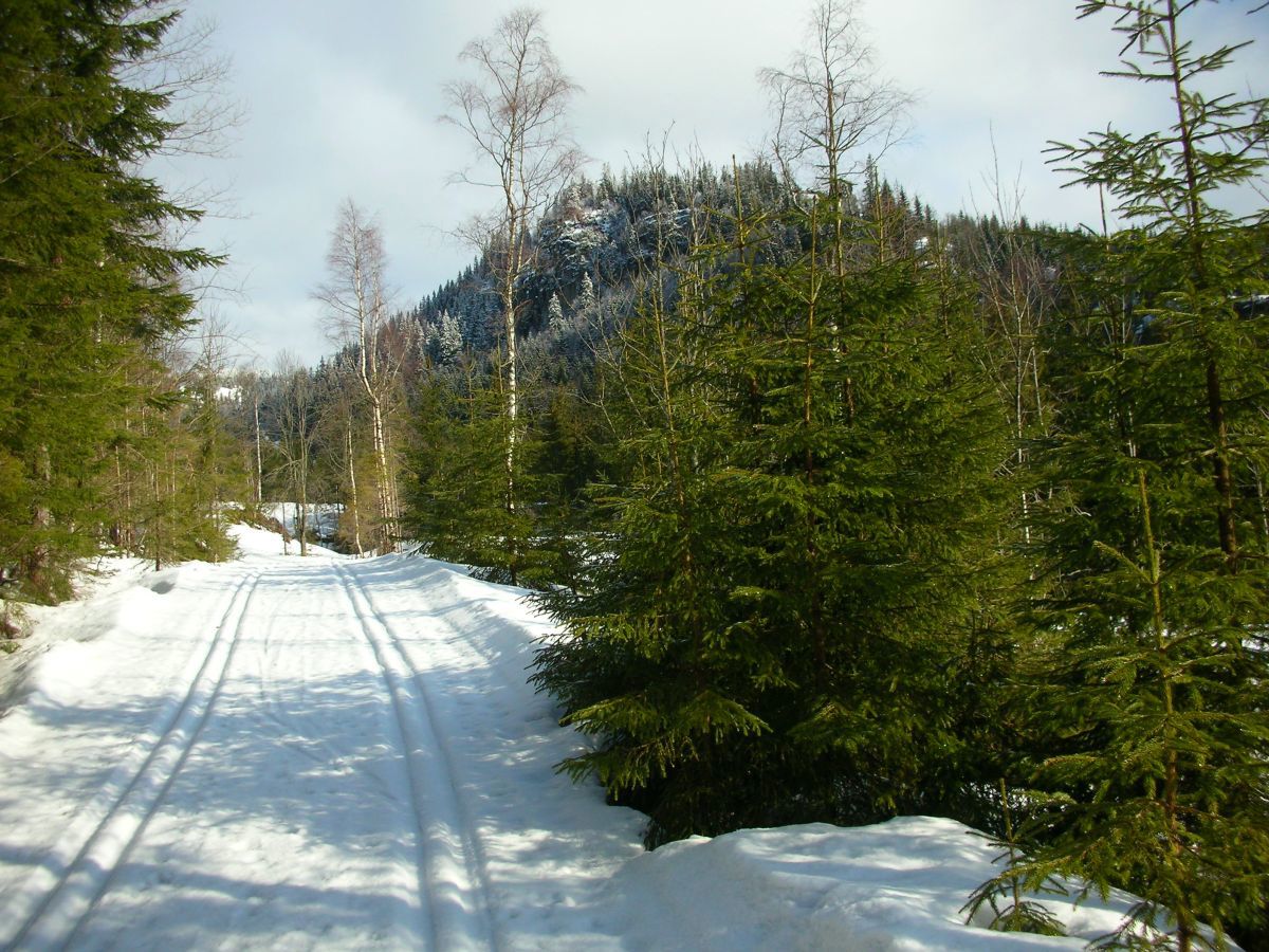 Aprilsol og nysnø i Gopletjernsbakkene