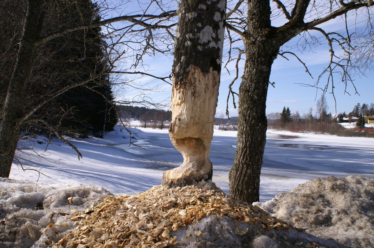 Arbeid ikke fullført