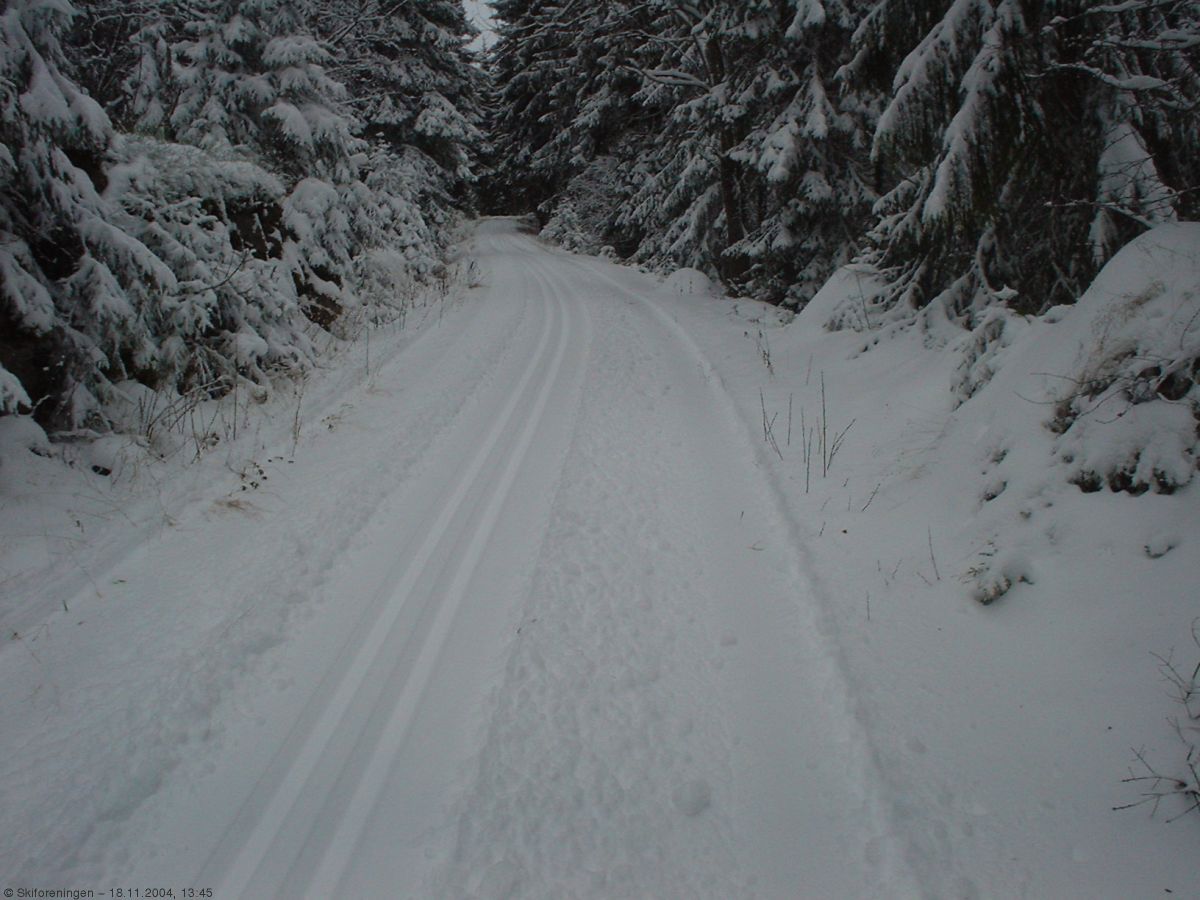 Årets første skispor i Abborvannsveien