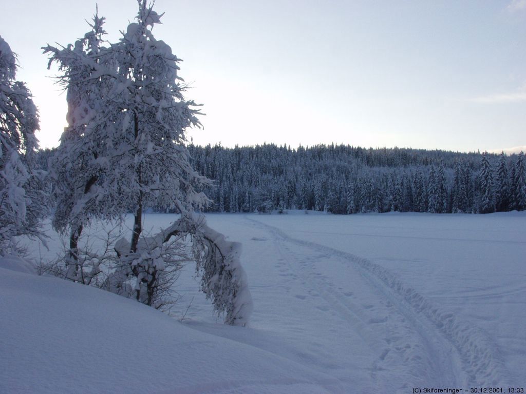Asdøltjern med løypa fra Bøåsen