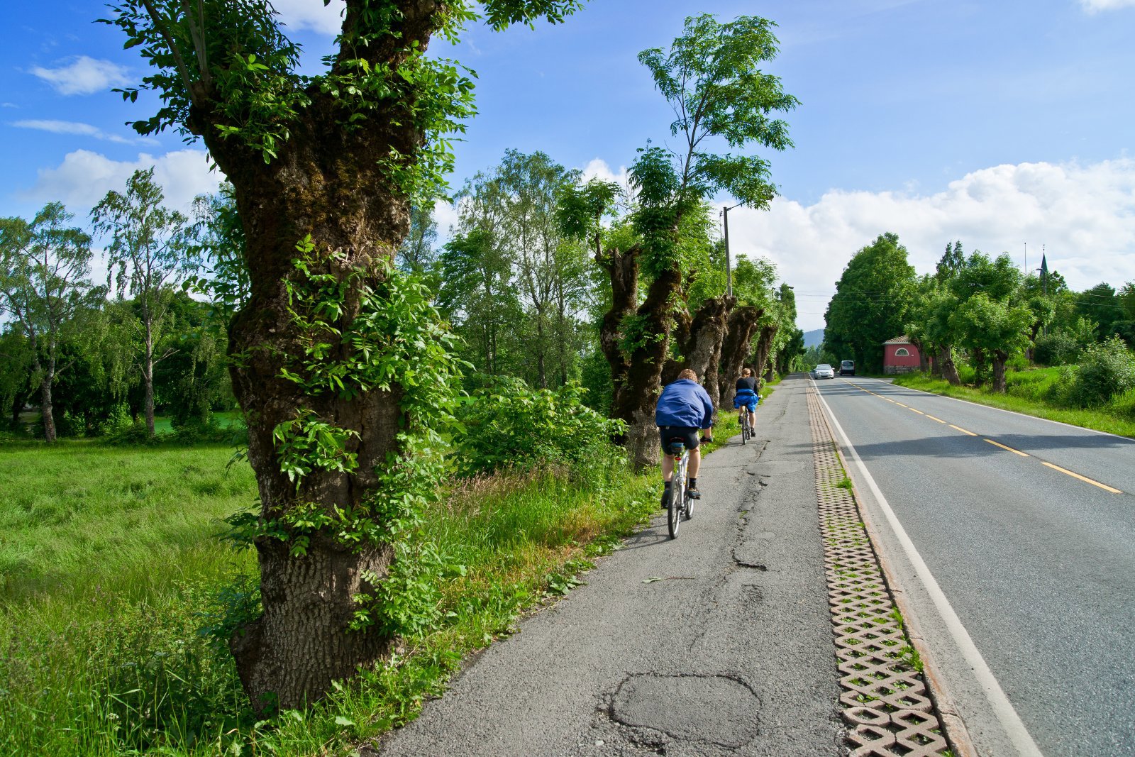 Askekaller langs Kirkeveien