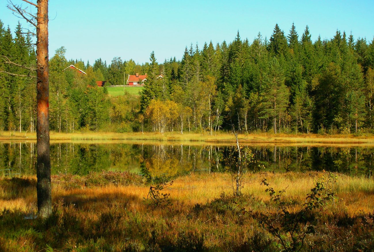 Askeren og Trehørningen gård