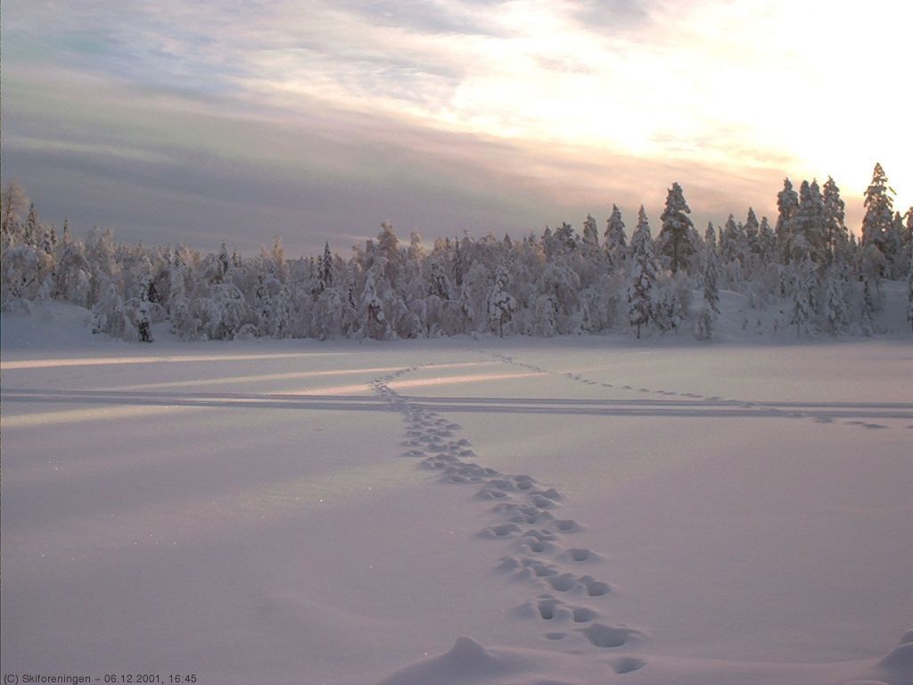 Åsvatnet i Finnemarka