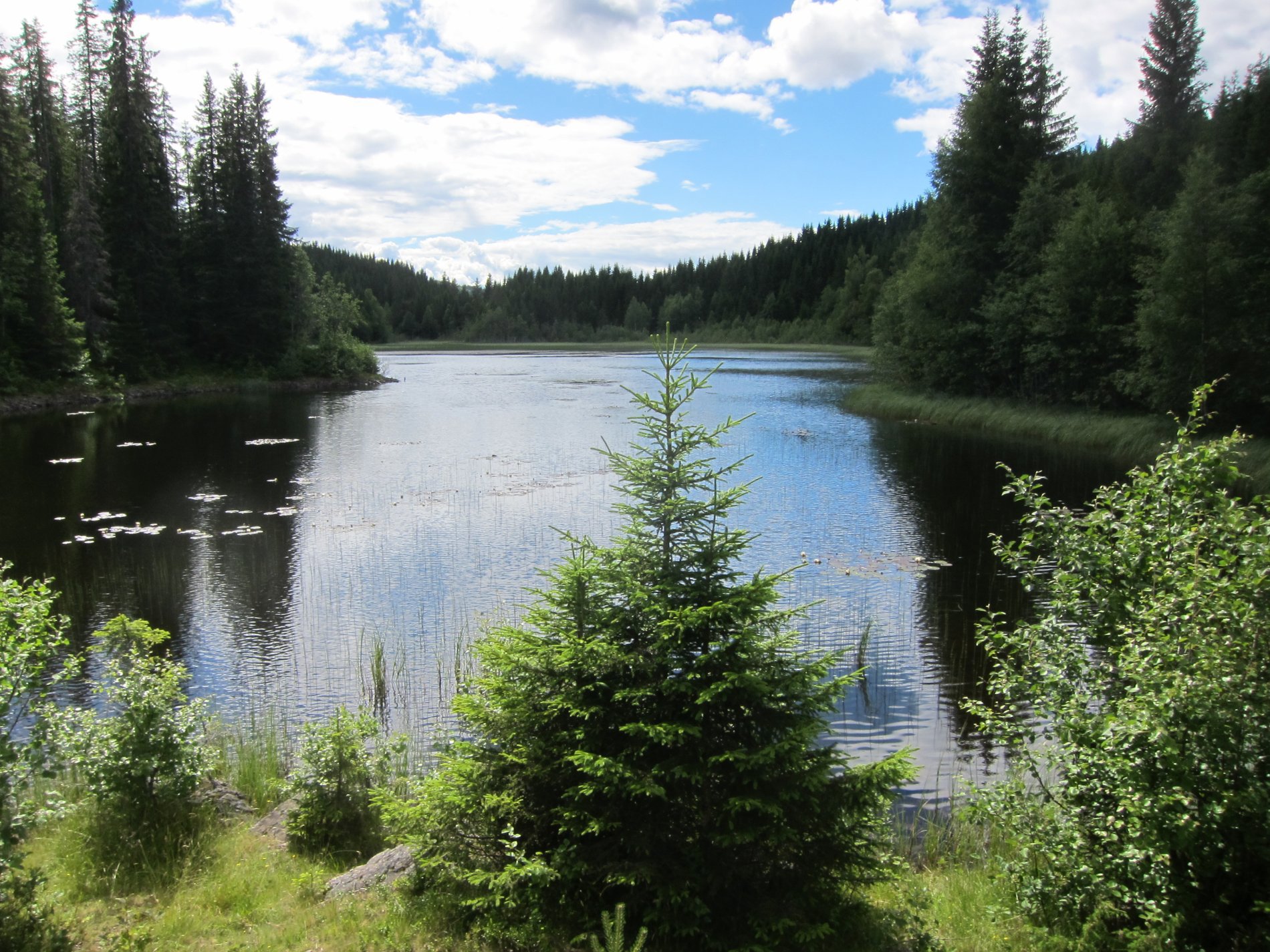 Atthaldsdammen på Feiringåsen