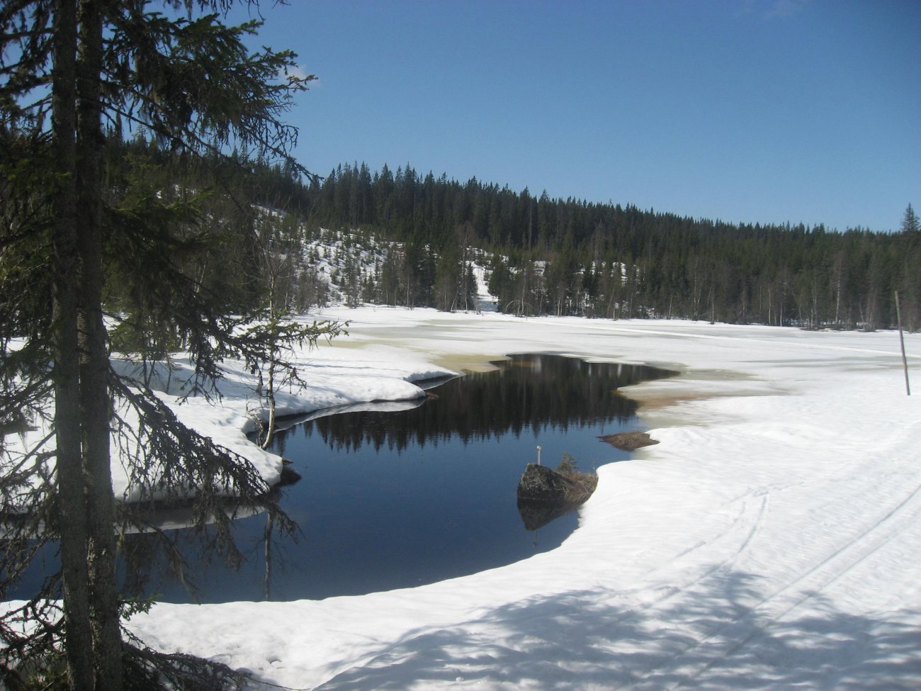 Auretjern nord for Spålen