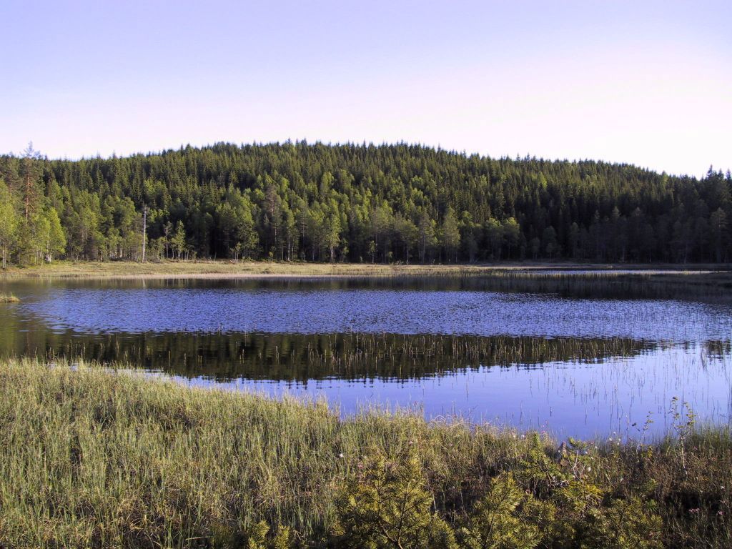 Aurtjern ved foten av Skjennungsåsen