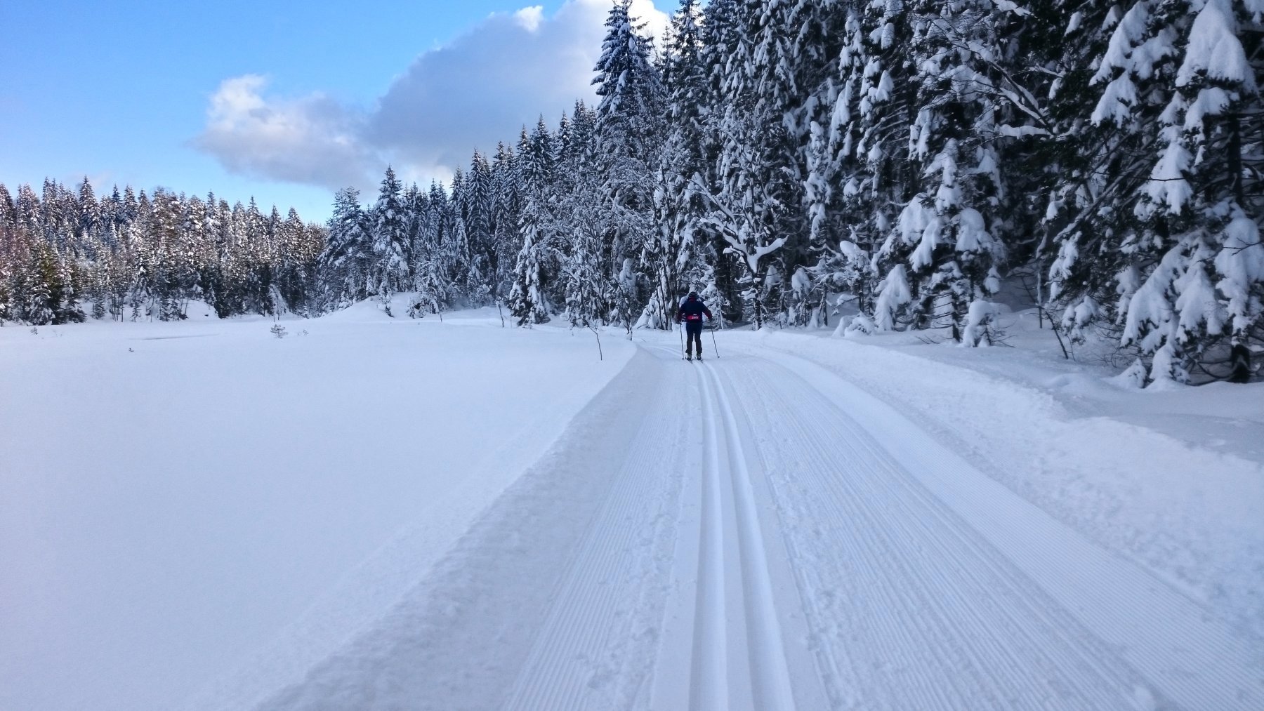 Ausene har sjelden sett flottere ut