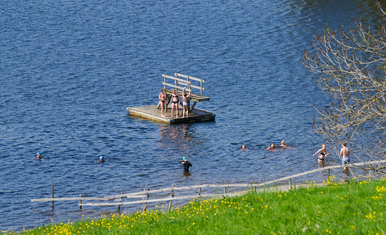 Badeliv i Semsvannet