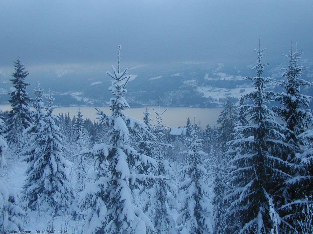 Bare utforbakker igjen ned til Sollihøgda