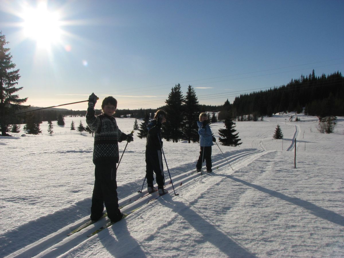 Barnevennlig skiterreng mellom Åstjern og Fellessætra