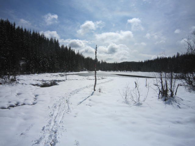 Bart i går - snø i dag
