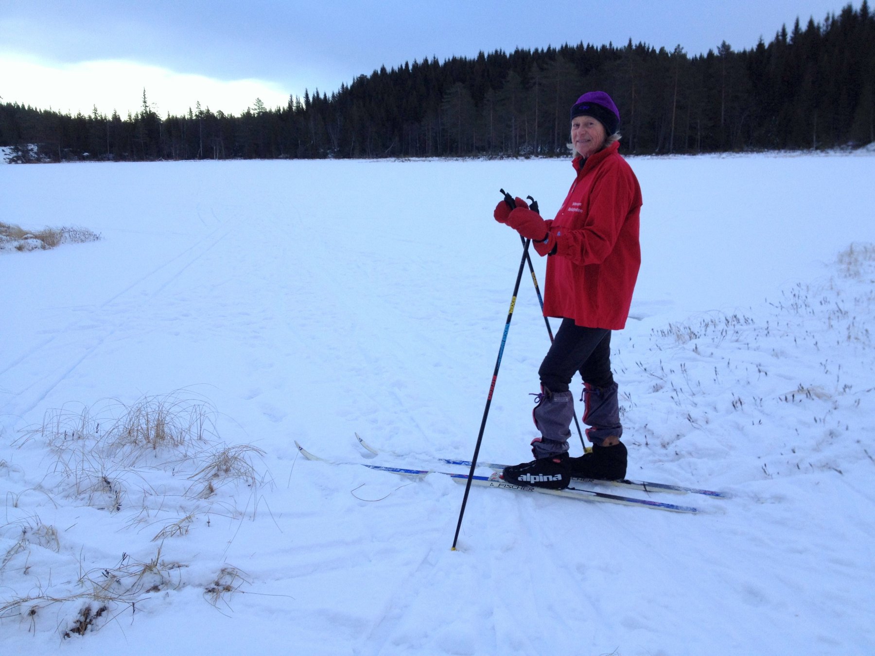 Bærumsmarka på julaften