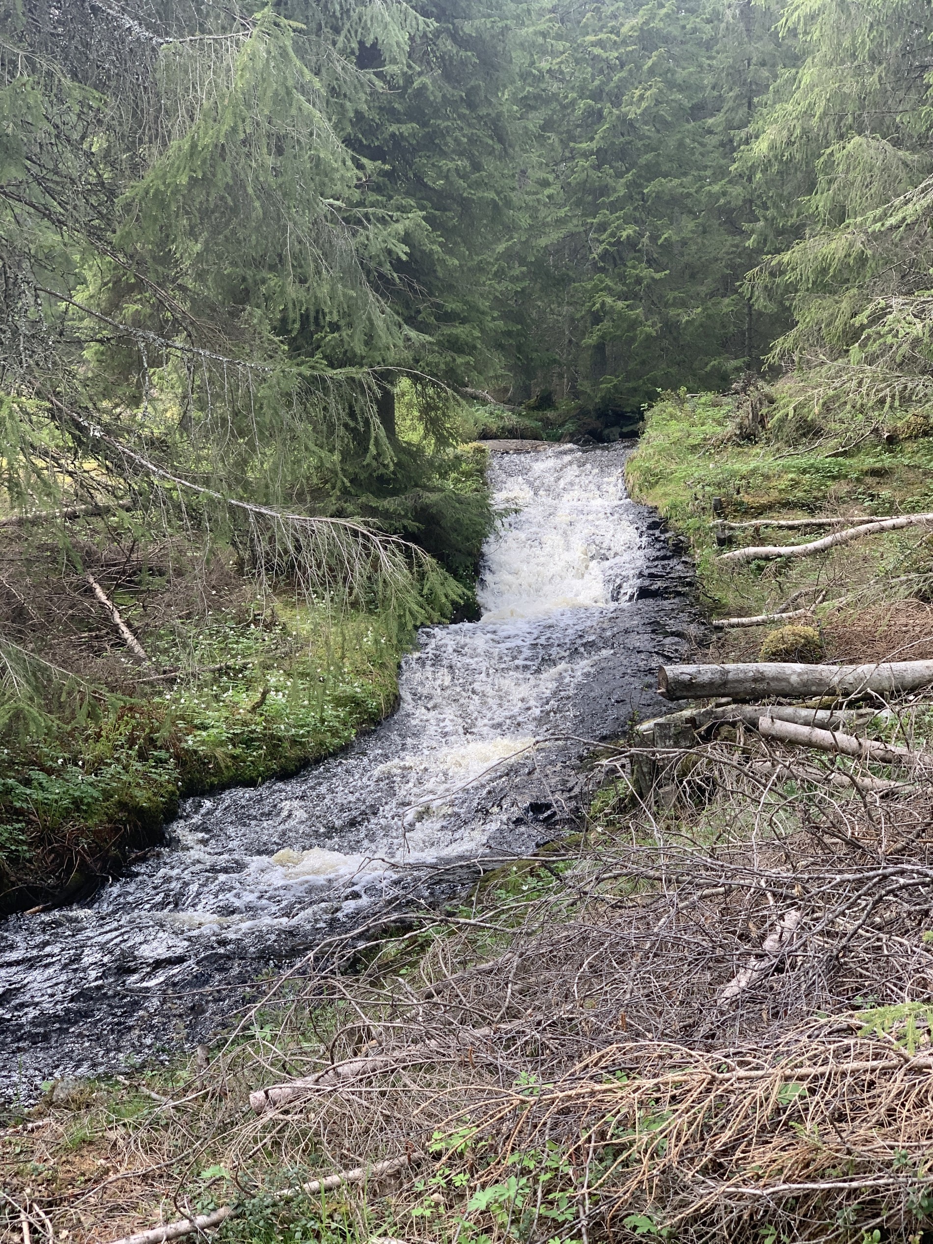 Bekken fra Gyrihaugtjerna er flomstor