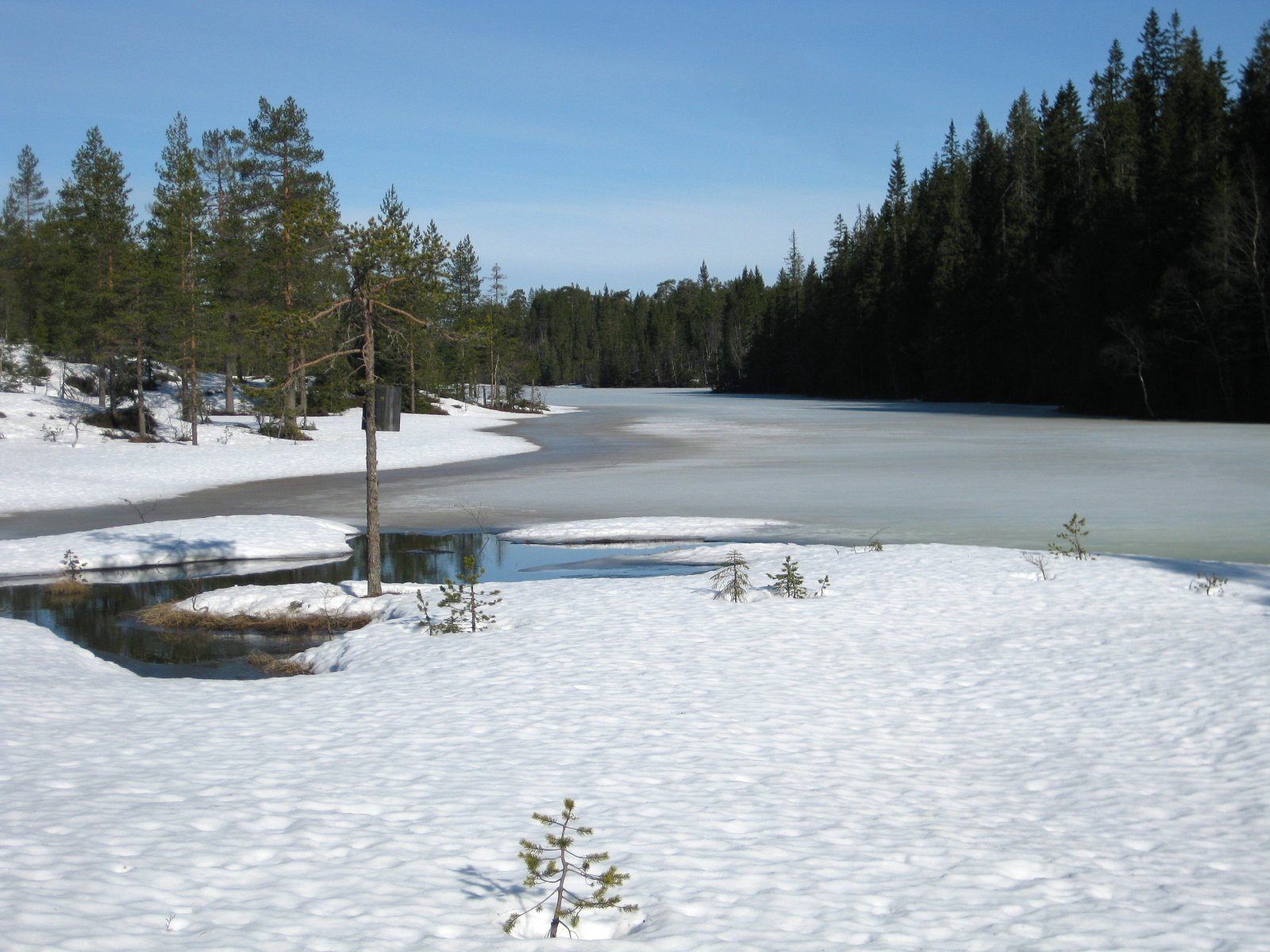 Bekken går opp ved Langtjern