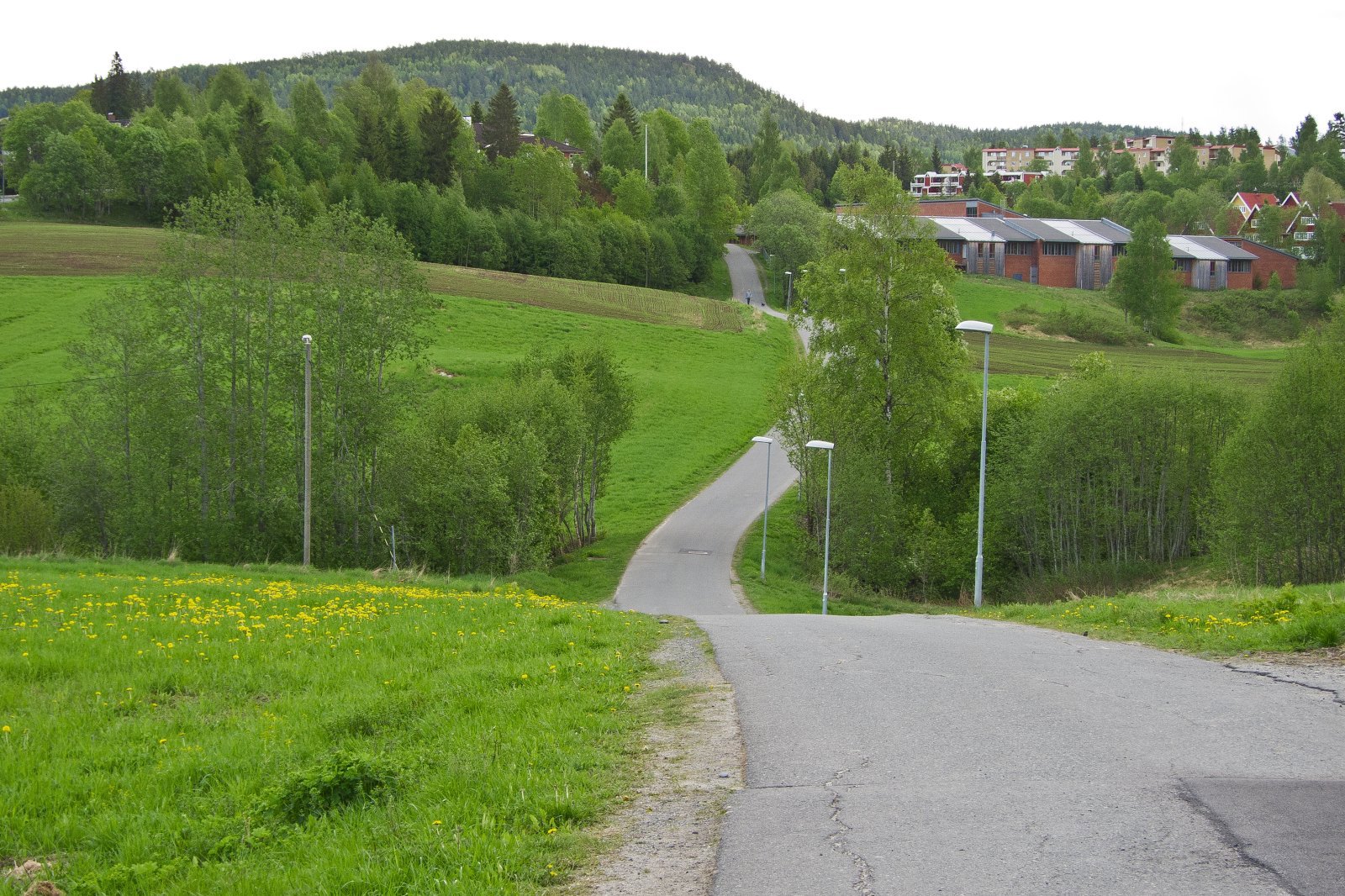 Berg- og dalbanen i Lommedalen
