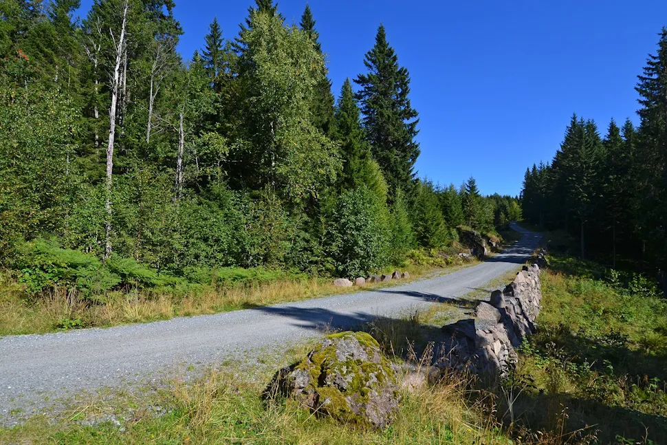 Bergenske kongevei: fagmessige tørrmurer