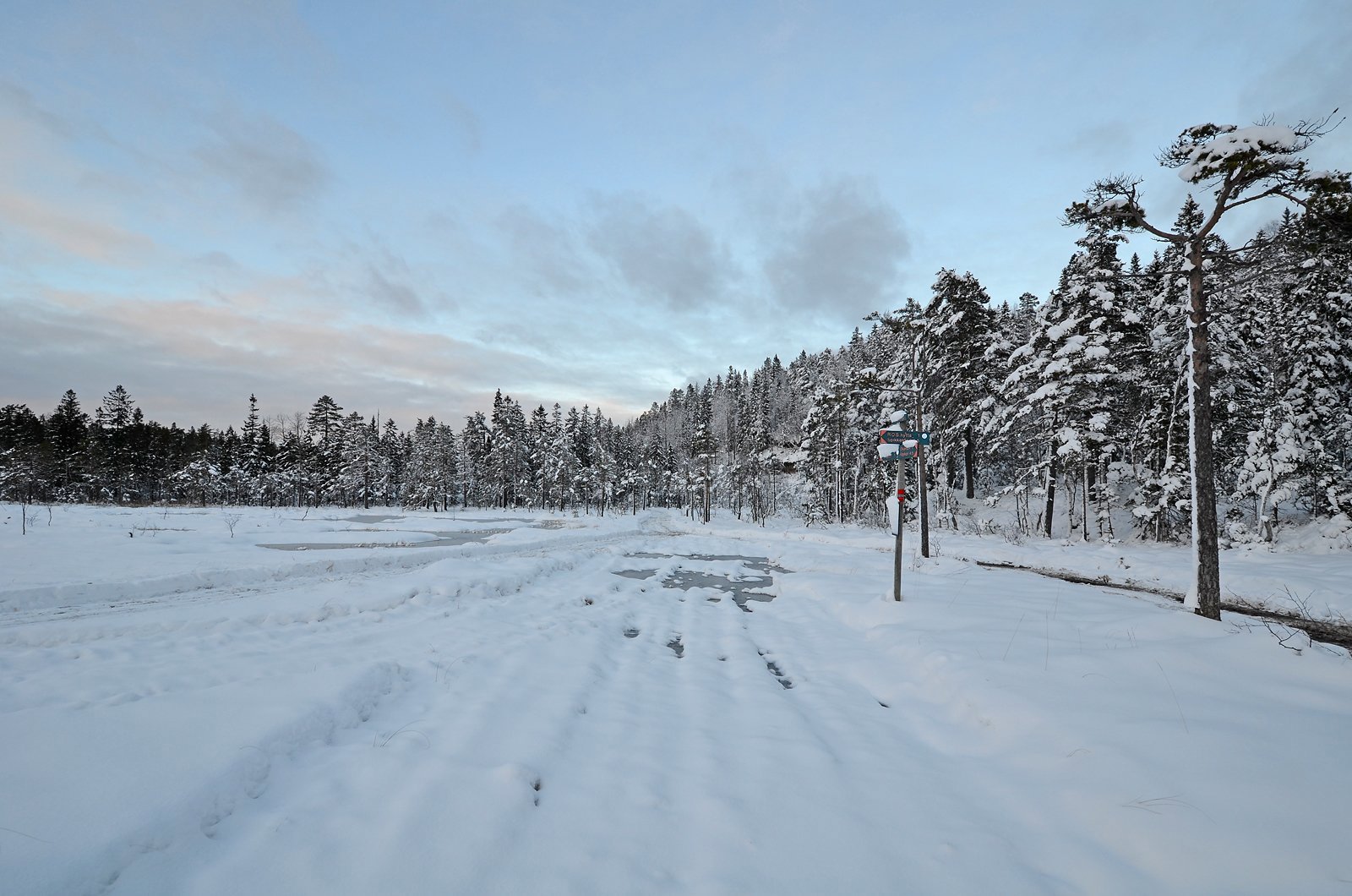 Bertelsmyr: et vått løypekryss