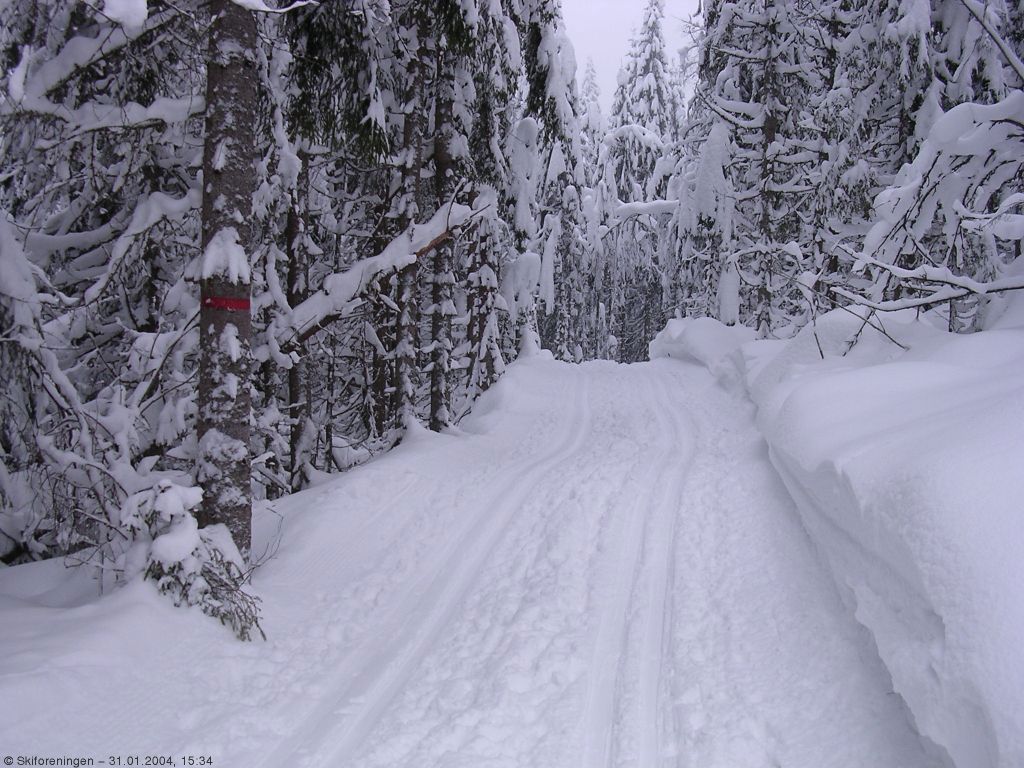 Bindeleddet mellom Sørkedalen og Bærumsmarka
