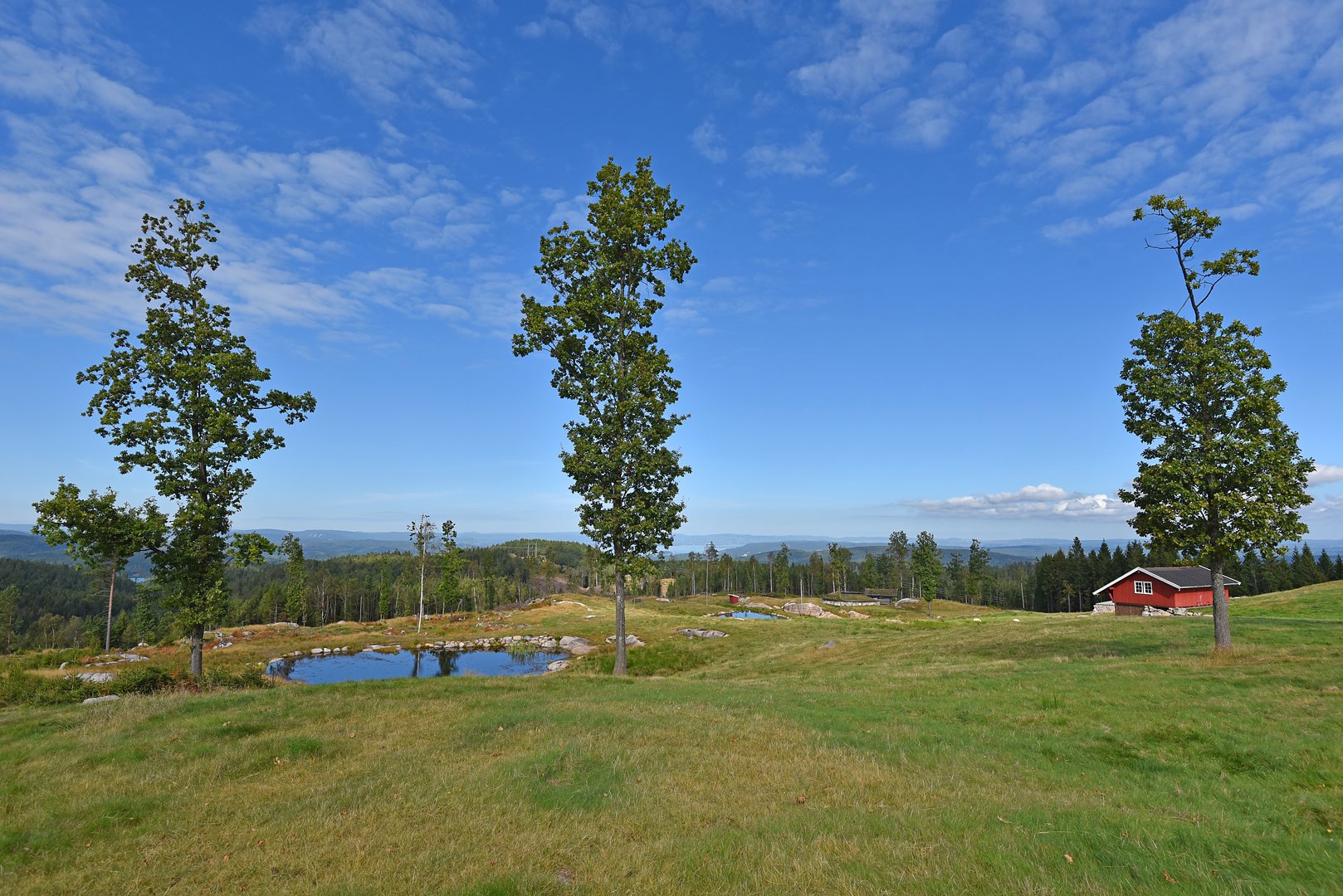 Bjønnåsen kulturpark: utsikten mot nord