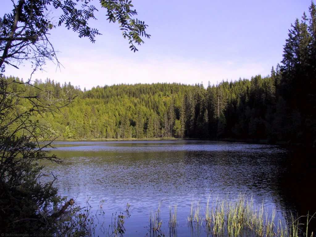 Bjordammen - en bortgjemt idyll