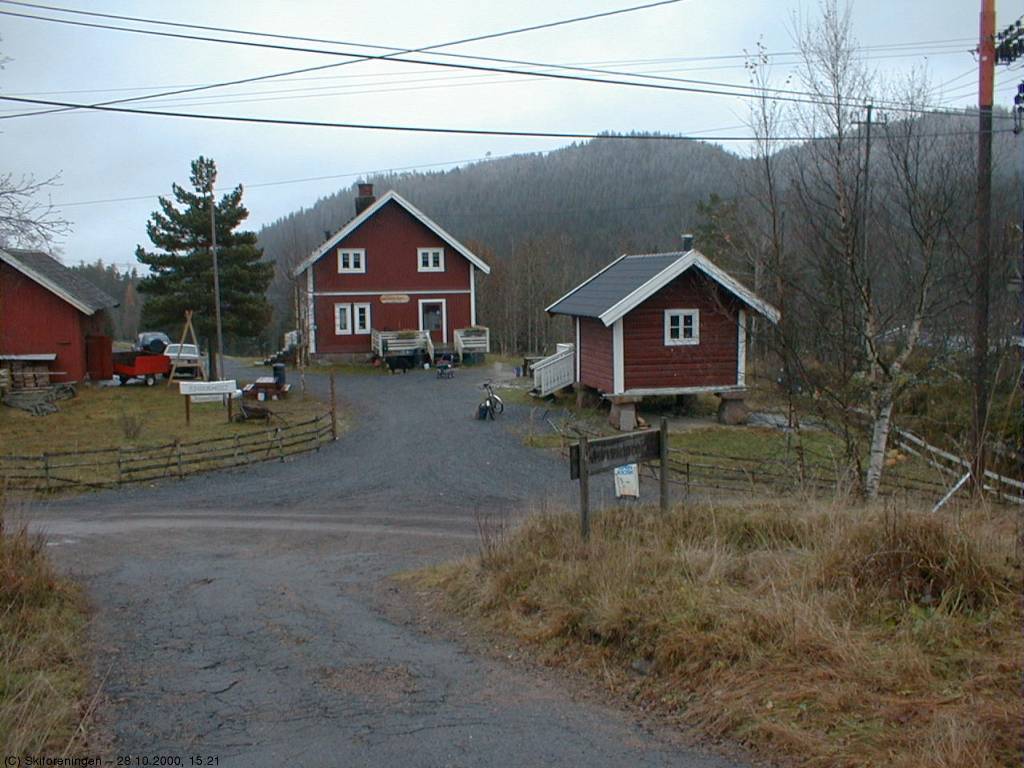 Bjørnholt i høststemning