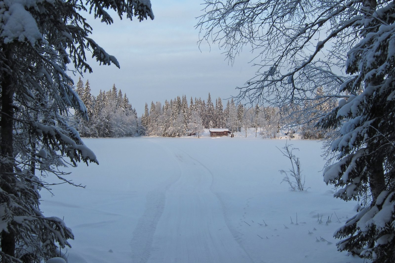 Blåkaldt ved Bønnerudtjern