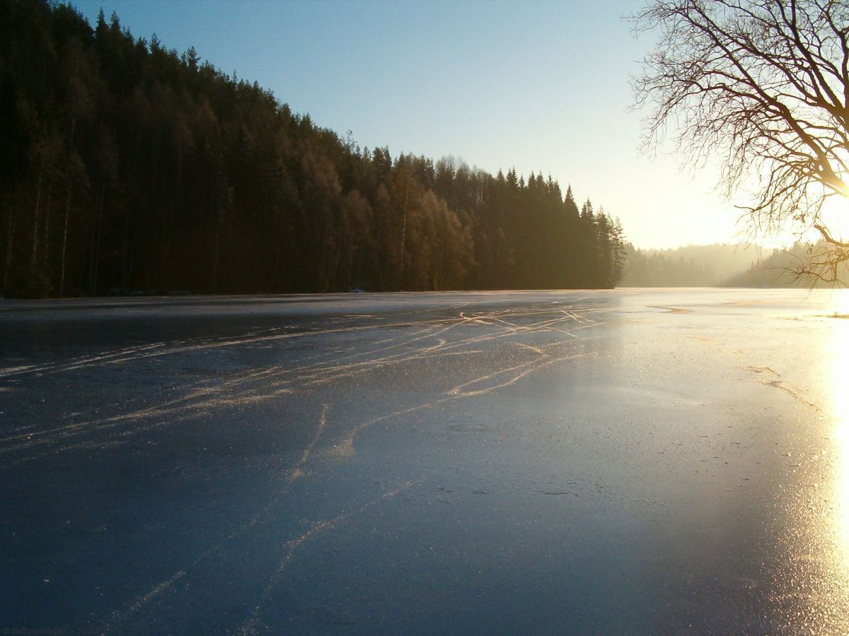 Blank is på Fløyta