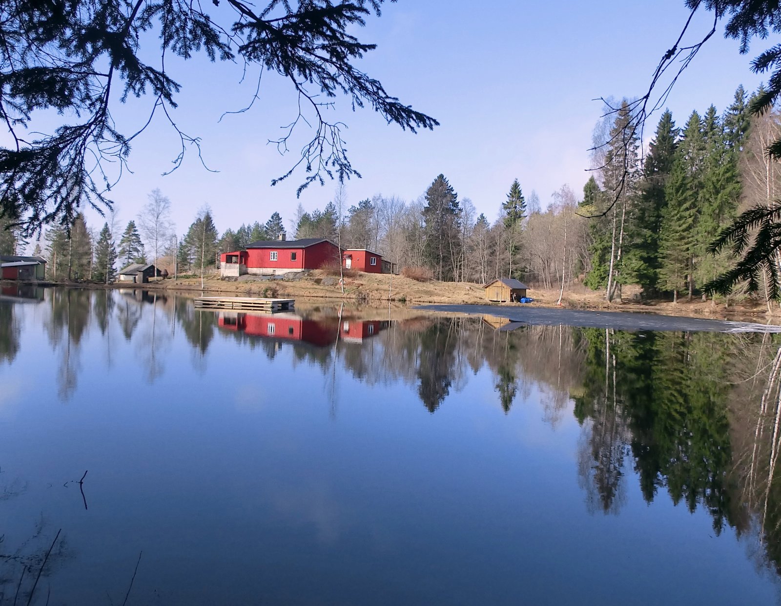 Blank vårmorgen på Isdammen