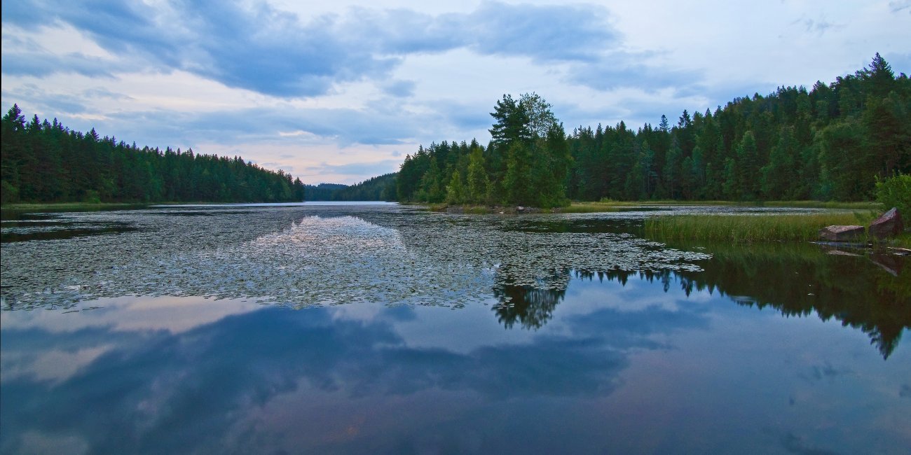 Blåtime ved Skapertjern