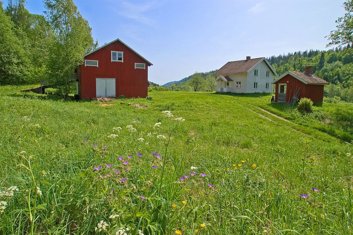 Blomstrende tun på Kjaglienga
