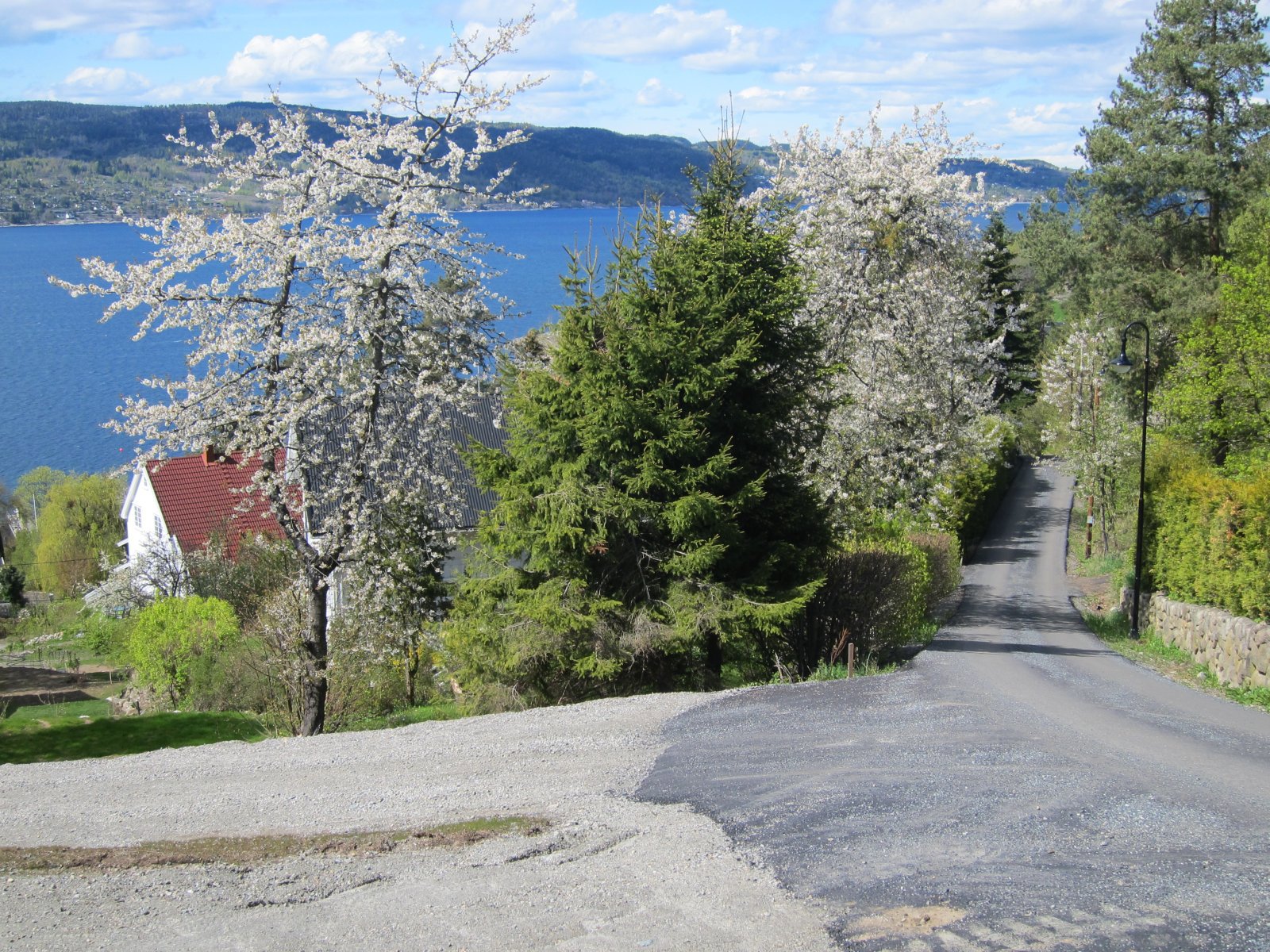 Blomstrer i Hvitsten
