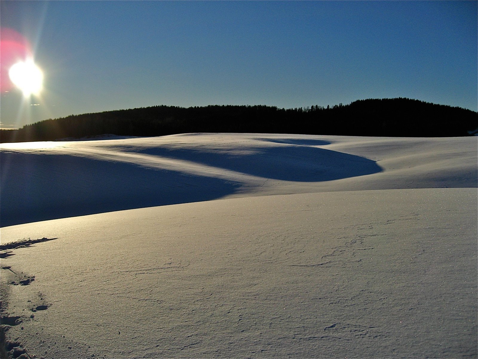 Bølgende Tomter-vidder
