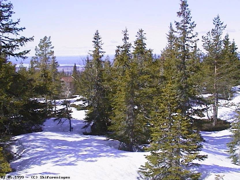 Borgersetra, Ringkollen