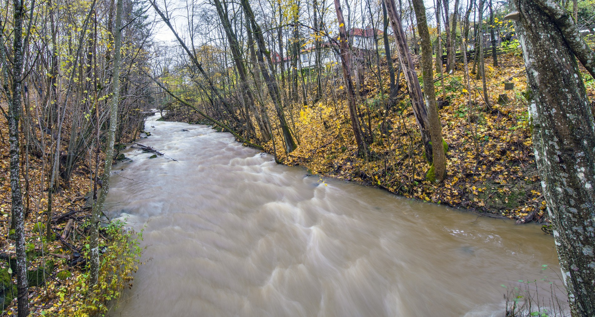 Bra trykk i Øverlandselva