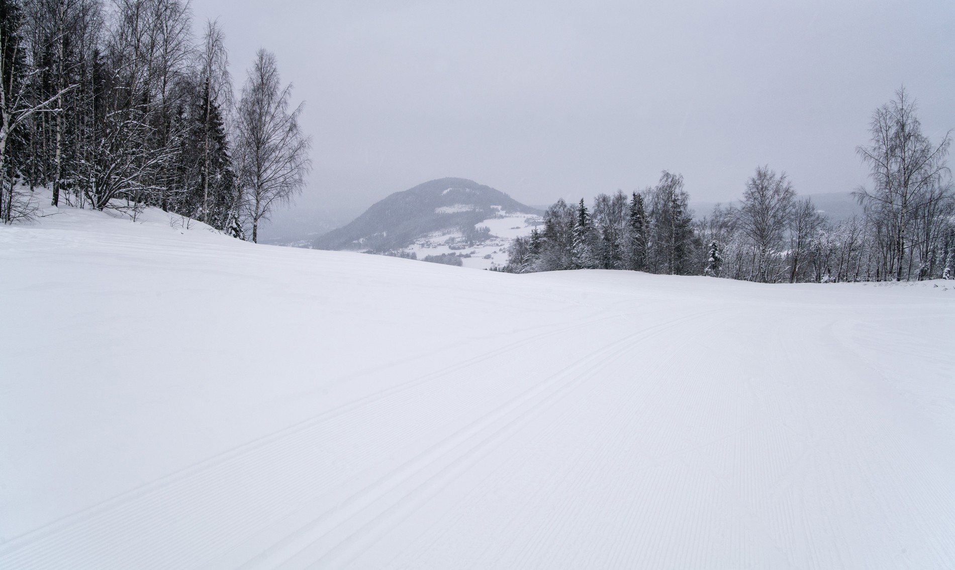 Brandbukampen i sikte